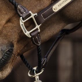 KENTUCKY ROPE Halfter (42540)