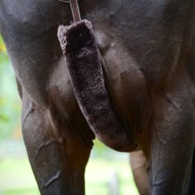 KENTUCKY Vorderzeugschoner (42601)